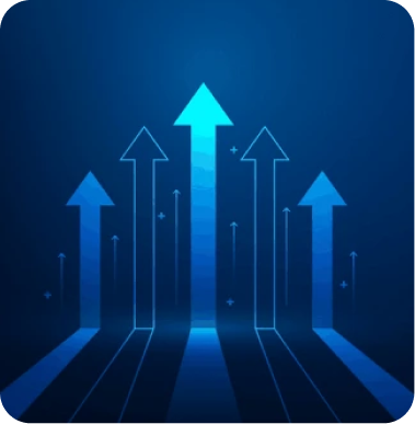 Digital Services Suite